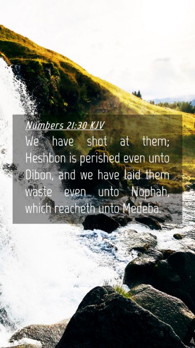 Picture 04 - Numbers 21:30 KJV Mobile Phone Wallpaper - We have shot at them; Heshbon is perished even - Mobile Bible Verse Wallpaper
