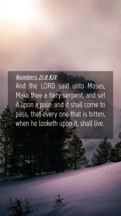 Picture 04 - Numbers 21:8 KJV Mobile Phone Wallpaper - And the LORD said unto Moses, Make thee a fiery - Mobile Bible Verse Wallpaper