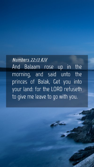 Picture 04 - Numbers 22:13 KJV Mobile Phone Wallpaper - And Balaam rose up in the morning, and said unto - Mobile Bible Verse Wallpaper
