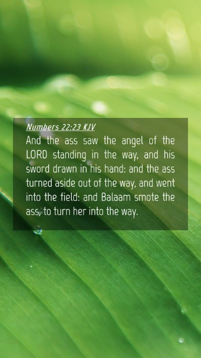 Picture 04 - Numbers 22:23 KJV Mobile Phone Wallpaper - And the ass saw the angel of the LORD standing in - Mobile Bible Verse Wallpaper