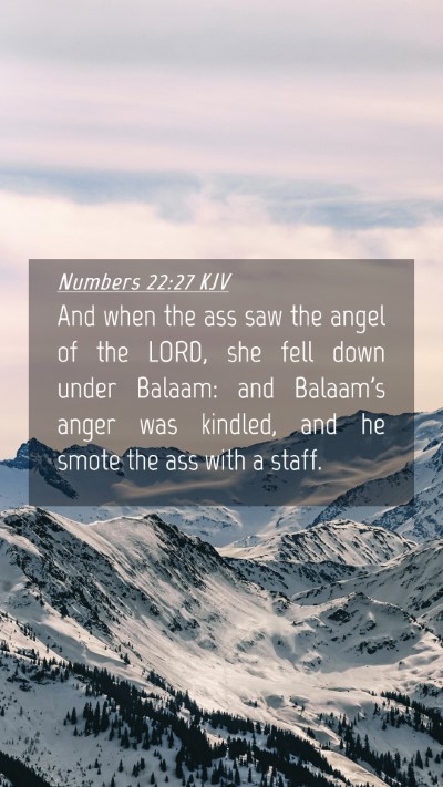 Picture 04 - Numbers 22:27 KJV Mobile Phone Wallpaper - And when the ass saw the angel of the LORD, she - Mobile Bible Verse Wallpaper