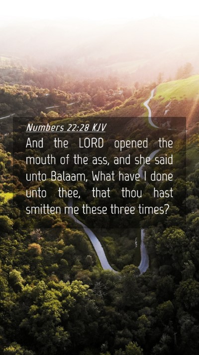 Picture 04 - Numbers 22:28 KJV Mobile Phone Wallpaper - And the LORD opened the mouth of the ass, and she - Mobile Bible Verse Wallpaper