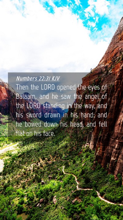 Picture 04 - Numbers 22:31 KJV Mobile Phone Wallpaper - Then the LORD opened the eyes of Balaam, and he - Mobile Bible Verse Wallpaper