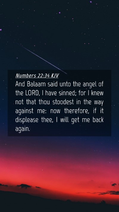 Picture 04 - Numbers 22:34 KJV Mobile Phone Wallpaper - And Balaam said unto the angel of the LORD, I - Mobile Bible Verse Wallpaper