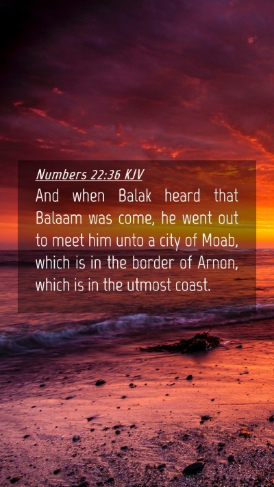 Picture 04 - Numbers 22:36 KJV Mobile Phone Wallpaper - And when Balak heard that Balaam was come, he - Mobile Bible Verse Wallpaper