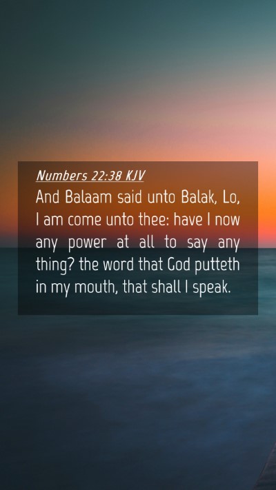 Picture 04 - Numbers 22:38 KJV Mobile Phone Wallpaper - And Balaam said unto Balak, Lo, I am come unto - Mobile Bible Verse Wallpaper