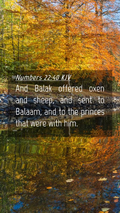Picture 04 - Numbers 22:40 KJV Mobile Phone Wallpaper - And Balak offered oxen and sheep, and sent to - Mobile Bible Verse Wallpaper