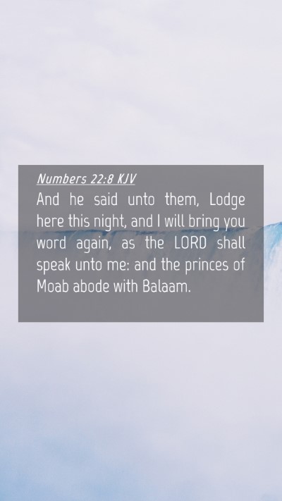 Picture 04 - Numbers 22:8 KJV Mobile Phone Wallpaper - And he said unto them, Lodge here this night, and - Mobile Bible Verse Wallpaper