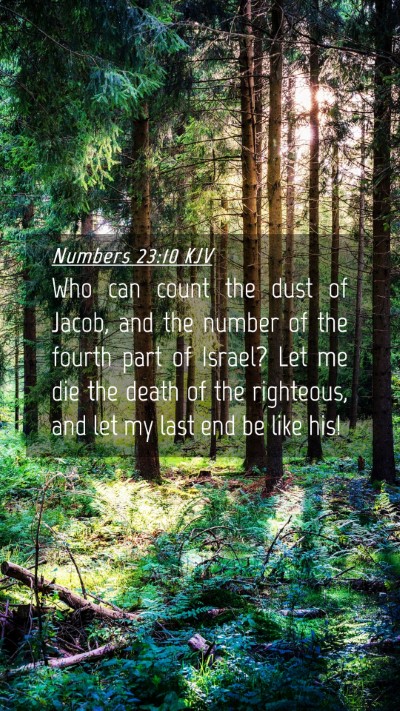 Picture 04 - Numbers 23:10 KJV Mobile Phone Wallpaper - Who can count the dust of Jacob, and the number - Mobile Bible Verse Wallpaper