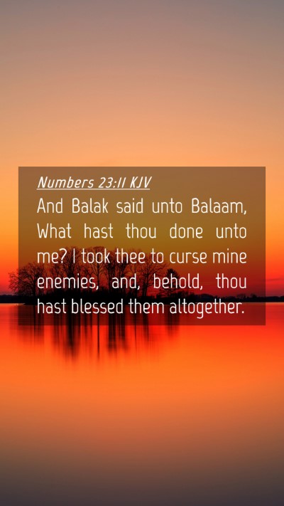 Picture 04 - Numbers 23:11 KJV Mobile Phone Wallpaper - And Balak said unto Balaam, What hast thou done - Mobile Bible Verse Wallpaper
