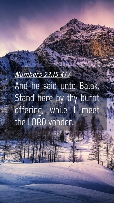 Picture 04 - Numbers 23:15 KJV Mobile Phone Wallpaper - And he said unto Balak, Stand here by thy burnt - Mobile Bible Verse Wallpaper