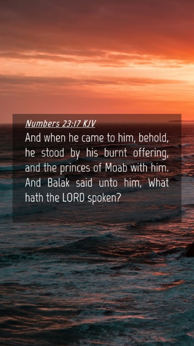 Picture 04 - Numbers 23:17 KJV Mobile Phone Wallpaper - And when he came to him, behold, he stood by his - Mobile Bible Verse Wallpaper