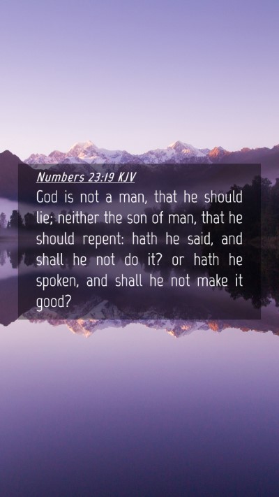 Picture 04 - Numbers 23:19 KJV Mobile Phone Wallpaper - God is not a man, that he should lie; neither the - Mobile Bible Verse Wallpaper