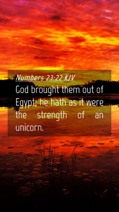 Picture 04 - Numbers 23:22 KJV Mobile Phone Wallpaper - God brought them out of Egypt; he hath as it were - Mobile Bible Verse Wallpaper