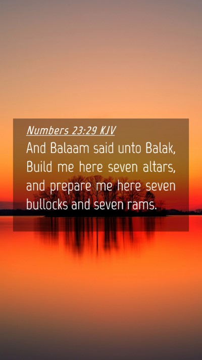 Picture 04 - Numbers 23:29 KJV Mobile Phone Wallpaper - And Balaam said unto Balak, Build me here seven - Mobile Bible Verse Wallpaper