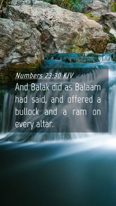 Picture 04 - Numbers 23:30 KJV Mobile Phone Wallpaper - And Balak did as Balaam had said, and offered a - Mobile Bible Verse Wallpaper