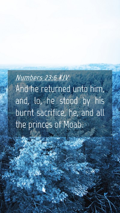 Picture 04 - Numbers 23:6 KJV Mobile Phone Wallpaper - And he returned unto him, and, lo, he stood by - Mobile Bible Verse Wallpaper
