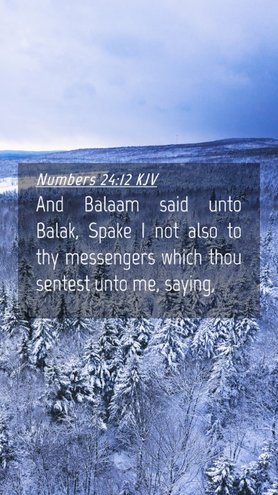 Picture 04 - Numbers 24:12 KJV Mobile Phone Wallpaper - And Balaam said unto Balak, Spake I not also to - Mobile Bible Verse Wallpaper