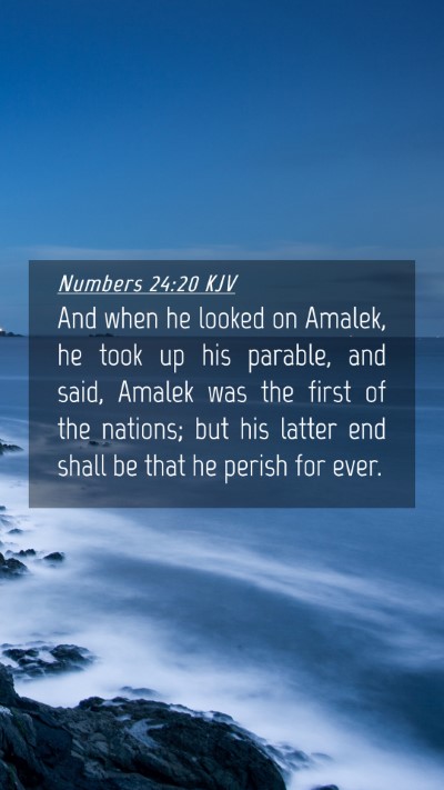 Picture 04 - Numbers 24:20 KJV Mobile Phone Wallpaper - And when he looked on Amalek, he took up his - Mobile Bible Verse Wallpaper