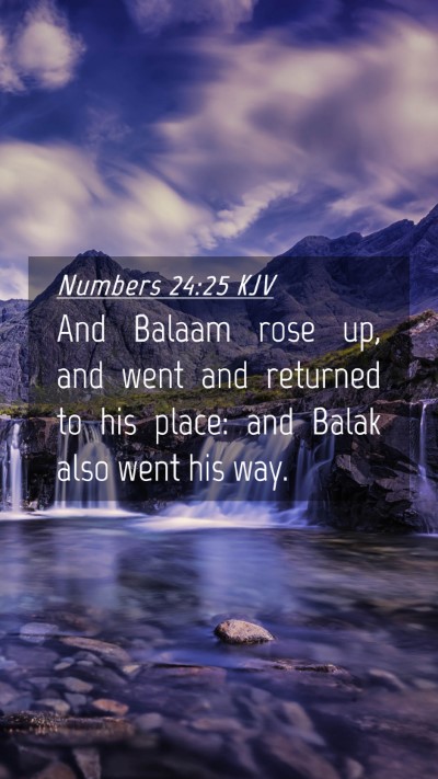 Picture 04 - Numbers 24:25 KJV Mobile Phone Wallpaper - And Balaam rose up, and went and returned to his - Mobile Bible Verse Wallpaper