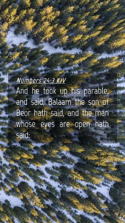 Picture 04 - Numbers 24:3 KJV Mobile Phone Wallpaper - And he took up his parable, and said, Balaam the - Mobile Bible Verse Wallpaper