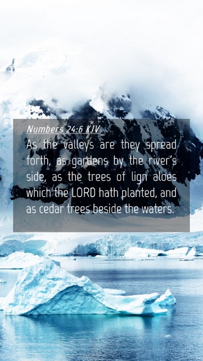 Picture 04 - Numbers 24:6 KJV Mobile Phone Wallpaper - As the valleys are they spread forth, as gardens - Mobile Bible Verse Wallpaper