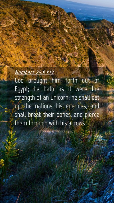Picture 04 - Numbers 24:8 KJV Mobile Phone Wallpaper - God brought him forth out of Egypt; he hath as it - Mobile Bible Verse Wallpaper