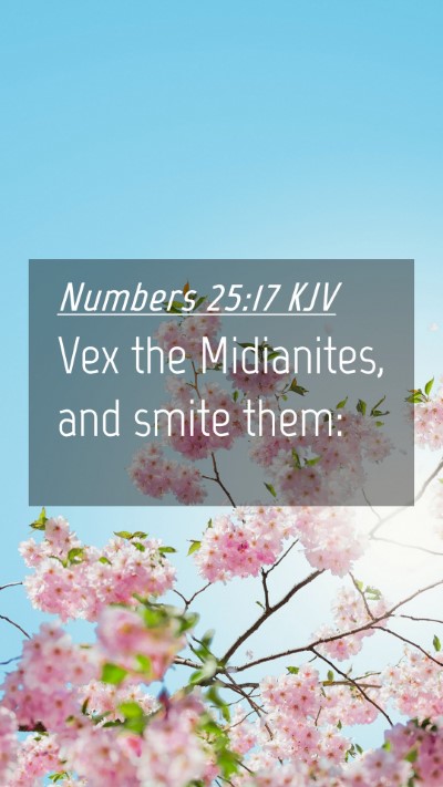Picture 04 - Numbers 25:17 KJV Mobile Phone Wallpaper - Vex the Midianites, and smite - Mobile Bible Verse Wallpaper