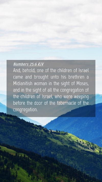 Picture 04 - Numbers 25:6 KJV Mobile Phone Wallpaper - And, behold, one of the children of Israel came - Mobile Bible Verse Wallpaper