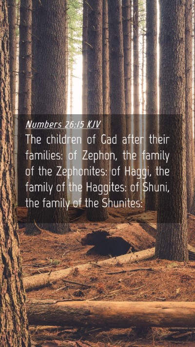 Picture 04 - Numbers 26:15 KJV Mobile Phone Wallpaper - The children of Gad after their families: of - Mobile Bible Verse Wallpaper