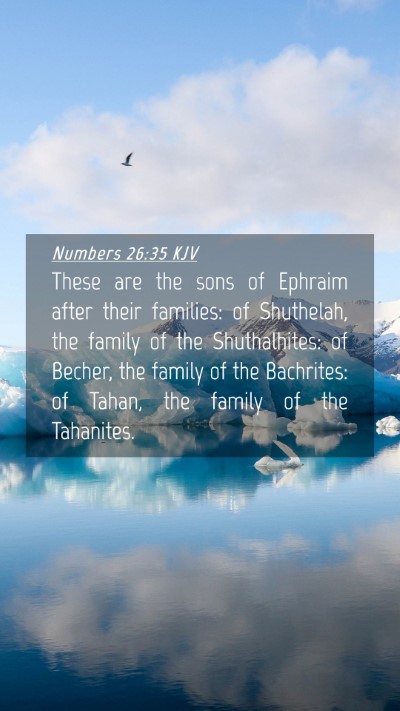 Picture 04 - Numbers 26:35 KJV Mobile Phone Wallpaper - These are the sons of Ephraim after their - Mobile Bible Verse Wallpaper