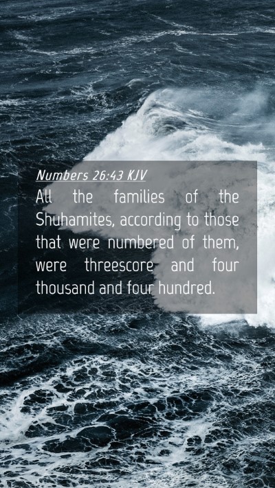Picture 04 - Numbers 26:43 KJV Mobile Phone Wallpaper - All the families of the Shuhamites, according to - Mobile Bible Verse Wallpaper