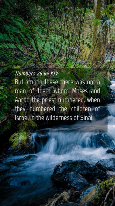 Picture 04 - Numbers 26:64 KJV Mobile Phone Wallpaper - But among these there was not a man of them whom - Mobile Bible Verse Wallpaper