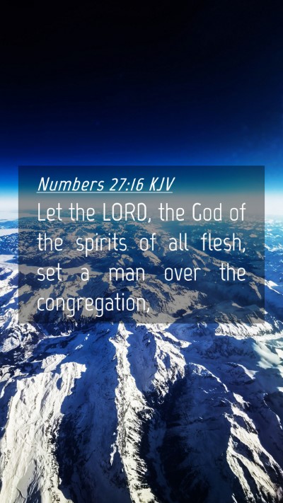 Picture 04 - Numbers 27:16 KJV Mobile Phone Wallpaper - Let the LORD, the God of the spirits of all - Mobile Bible Verse Wallpaper
