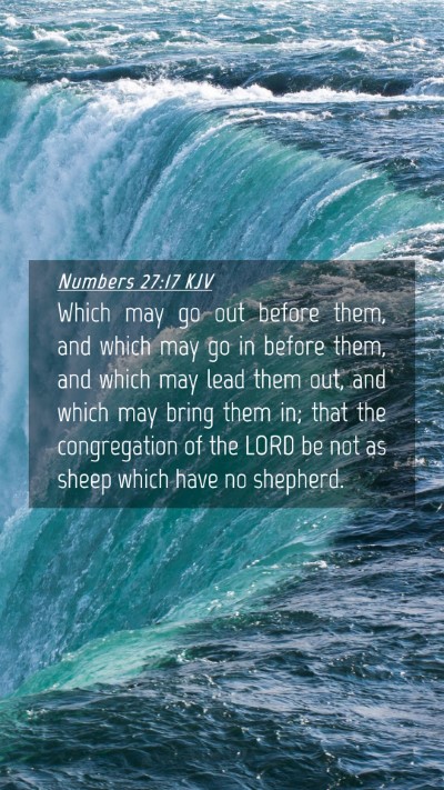 Picture 04 - Numbers 27:17 KJV Mobile Phone Wallpaper - Which may go out before them, and which may go in - Mobile Bible Verse Wallpaper