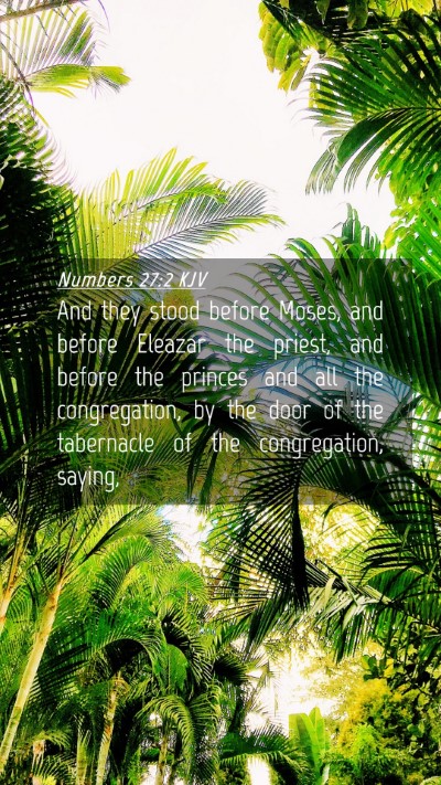 Picture 04 - Numbers 27:2 KJV Mobile Phone Wallpaper - And they stood before Moses, and before Eleazar - Mobile Bible Verse Wallpaper