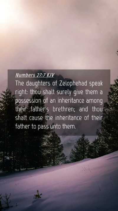 Picture 04 - Numbers 27:7 KJV Mobile Phone Wallpaper - The daughters of Zelophehad speak right: thou - Mobile Bible Verse Wallpaper