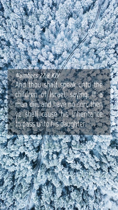 Picture 04 - Numbers 27:8 KJV Mobile Phone Wallpaper - And thou shalt speak unto the children of Israel, - Mobile Bible Verse Wallpaper