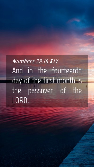 Picture 04 - Numbers 28:16 KJV Mobile Phone Wallpaper - And in the fourteenth day of the first month is - Mobile Bible Verse Wallpaper