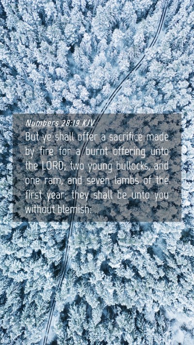 Picture 04 - Numbers 28:19 KJV Mobile Phone Wallpaper - But ye shall offer a sacrifice made by fire for a - Mobile Bible Verse Wallpaper