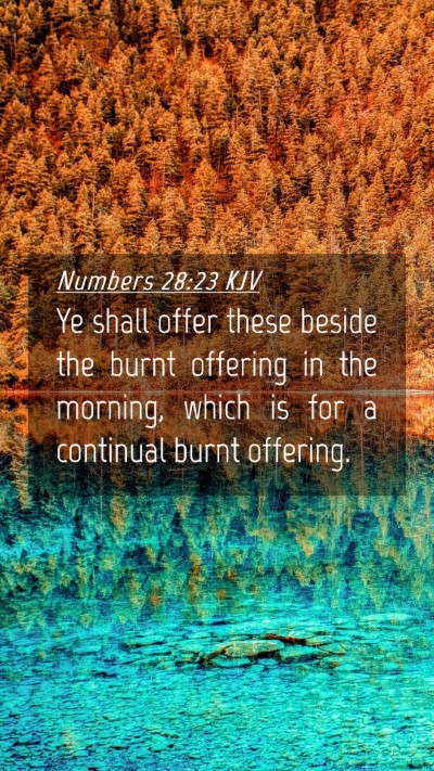Picture 04 - Numbers 28:23 KJV Mobile Phone Wallpaper - Ye shall offer these beside the burnt offering in - Mobile Bible Verse Wallpaper