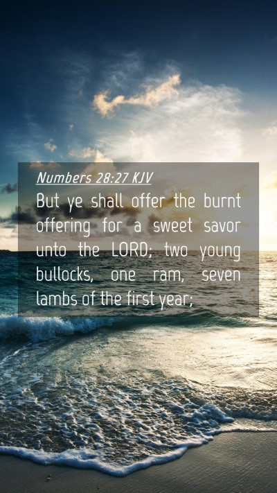 Picture 04 - Numbers 28:27 KJV Mobile Phone Wallpaper - But ye shall offer the burnt offering for a sweet - Mobile Bible Verse Wallpaper