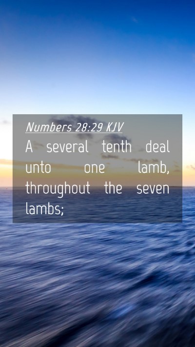 Picture 04 - Numbers 28:29 KJV Mobile Phone Wallpaper - A several tenth deal unto one lamb, throughout - Mobile Bible Verse Wallpaper