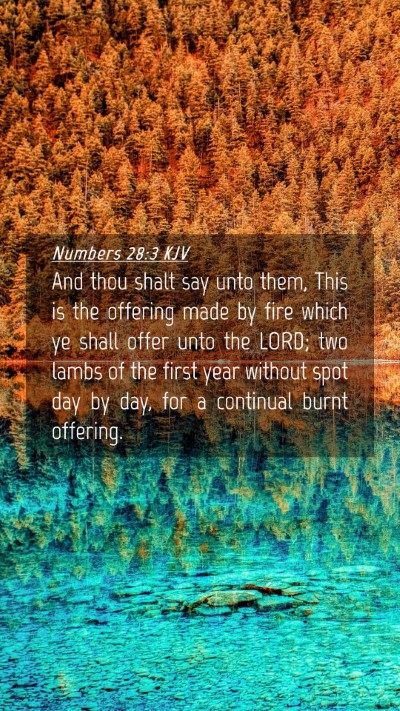 Picture 04 - Numbers 28:3 KJV Mobile Phone Wallpaper - And thou shalt say unto them, This is the - Mobile Bible Verse Wallpaper