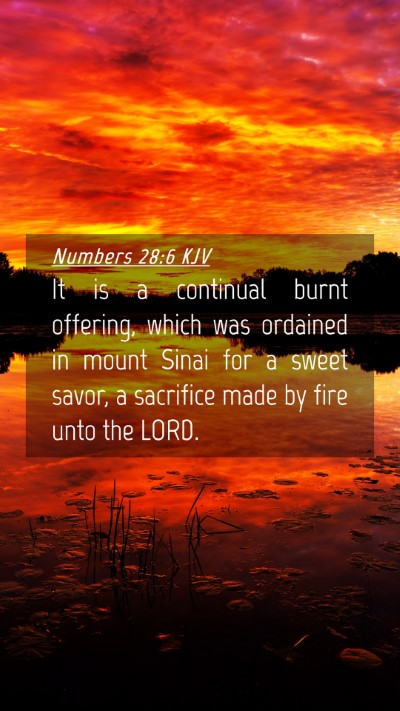 Picture 04 - Numbers 28:6 KJV Mobile Phone Wallpaper - It is a continual burnt offering, which was - Mobile Bible Verse Wallpaper
