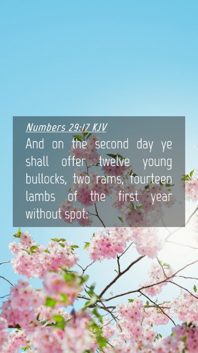 Picture 04 - Numbers 29:17 KJV Mobile Phone Wallpaper - And on the second day ye shall offer twelve young - Mobile Bible Verse Wallpaper