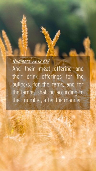 Picture 04 - Numbers 29:18 KJV Mobile Phone Wallpaper - And their meat offering and their drink offerings - Mobile Bible Verse Wallpaper