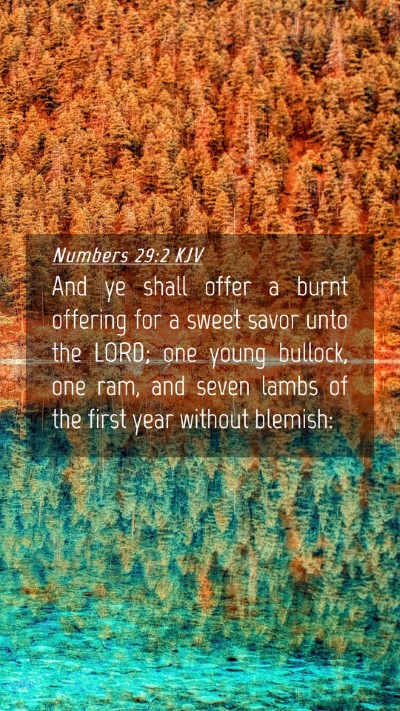 Picture 04 - Numbers 29:2 KJV Mobile Phone Wallpaper - And ye shall offer a burnt offering for a sweet - Mobile Bible Verse Wallpaper