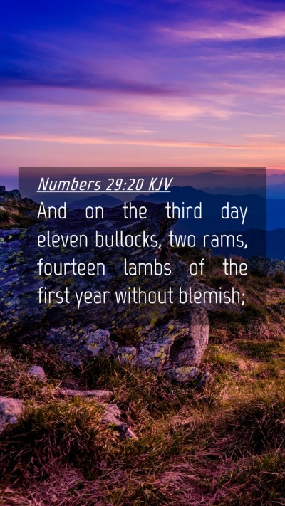 Picture 04 - Numbers 29:20 KJV Mobile Phone Wallpaper - And on the third day eleven bullocks, two rams, - Mobile Bible Verse Wallpaper