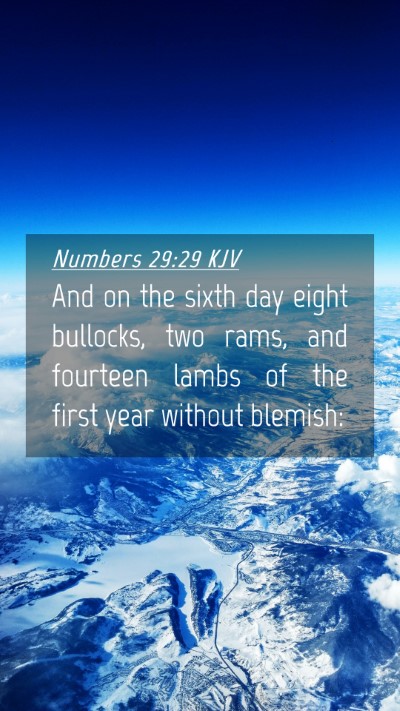 Picture 04 - Numbers 29:29 KJV Mobile Phone Wallpaper - And on the sixth day eight bullocks, two rams, - Mobile Bible Verse Wallpaper